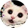 The Cat